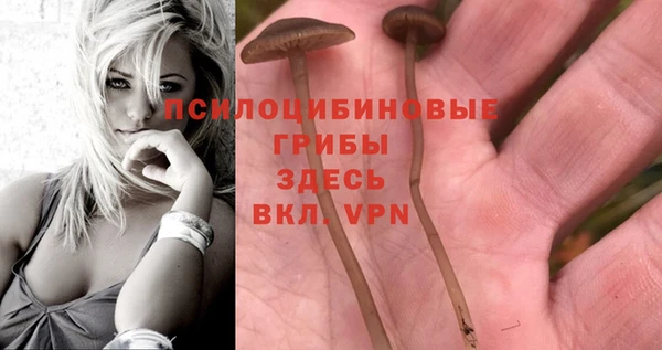 синтетический гашиш Армянск